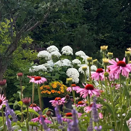 Hydrangea Апартаменты