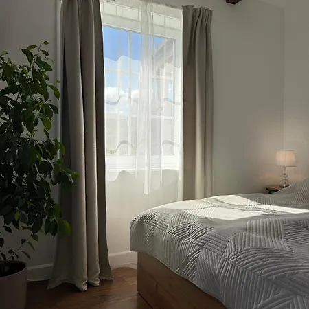 Hydrangea Apartment