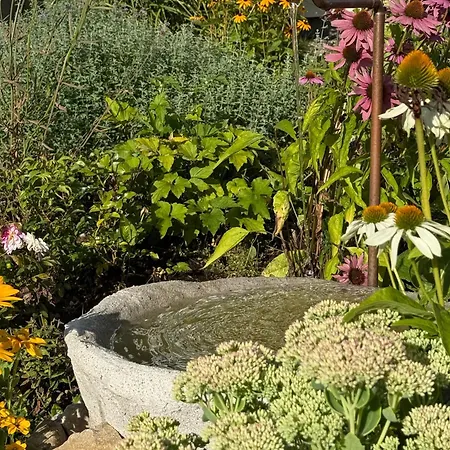 Apartment Hydrangea Plavnica